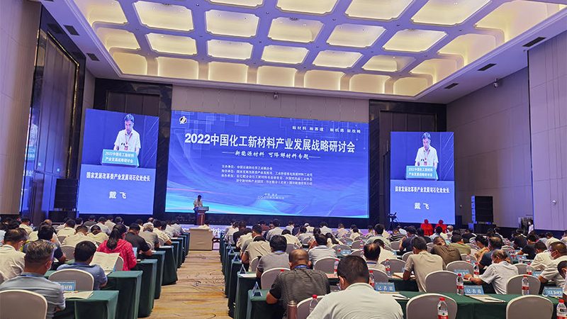 工业添加剂定制的利与弊：深度解析